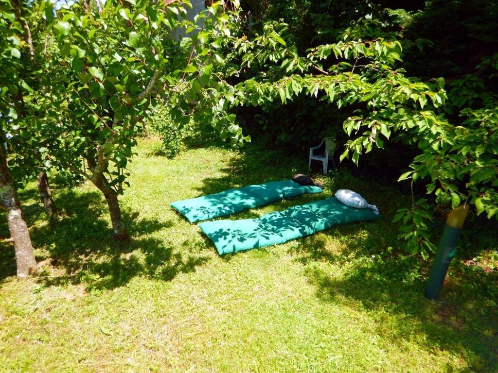 Ferienwohnung 80 M2 Independant 4 Personnes Direct Gare Ou Aeroport Jardin Piscine Toulouse Exterior foto